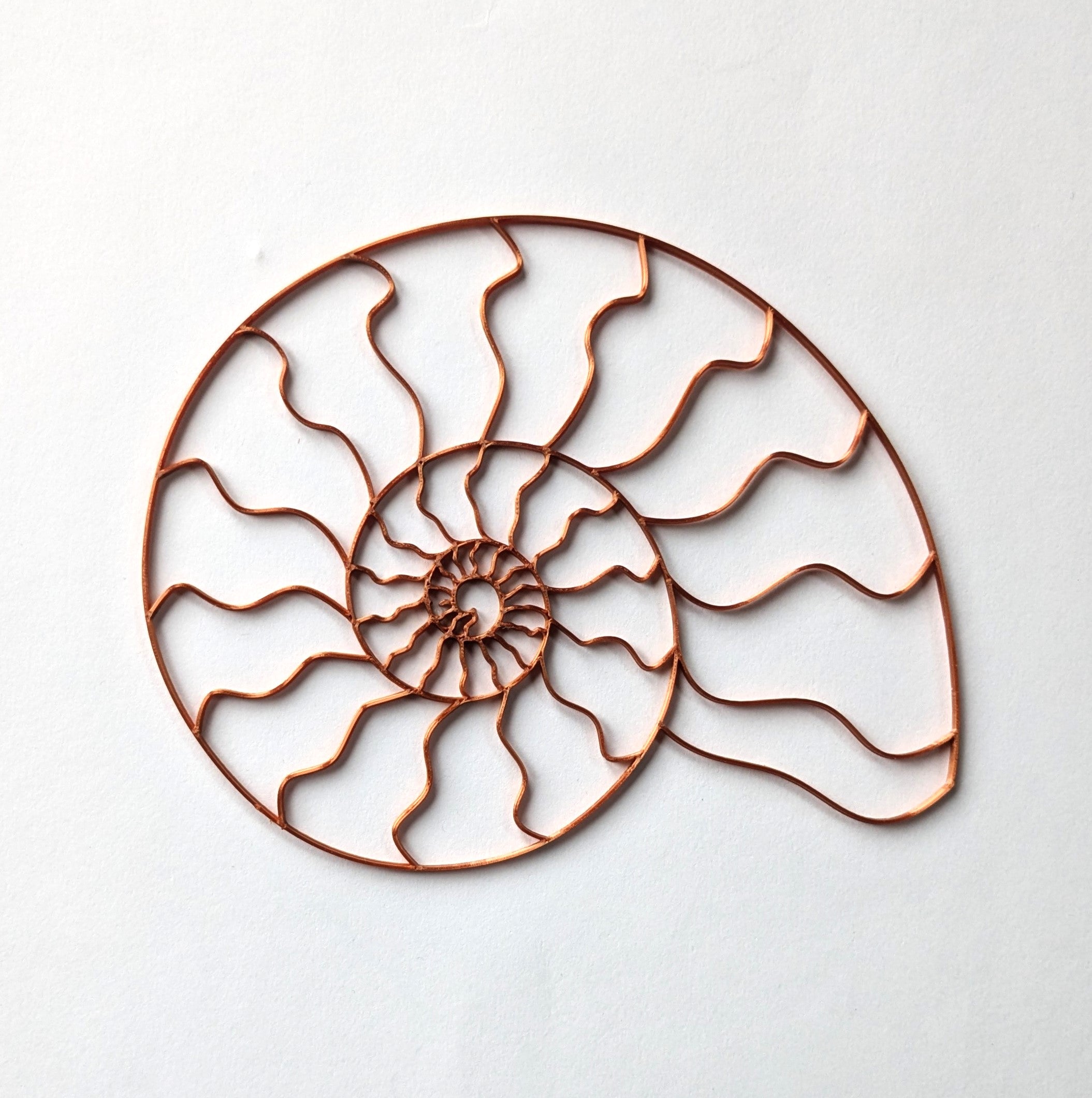 Ammonite Resin Art Template – pourawayfluidarts