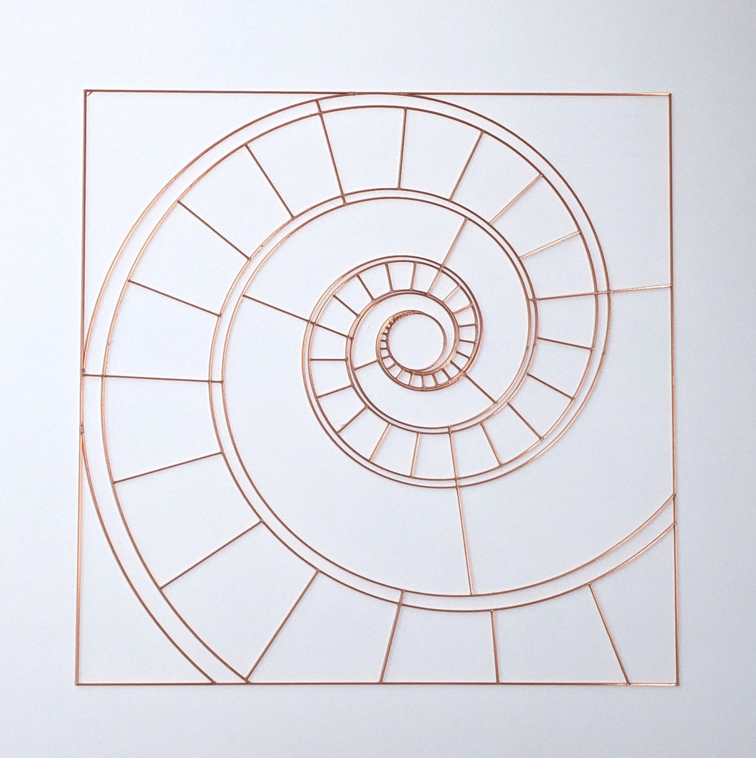Fibonacci Spiral Pattern