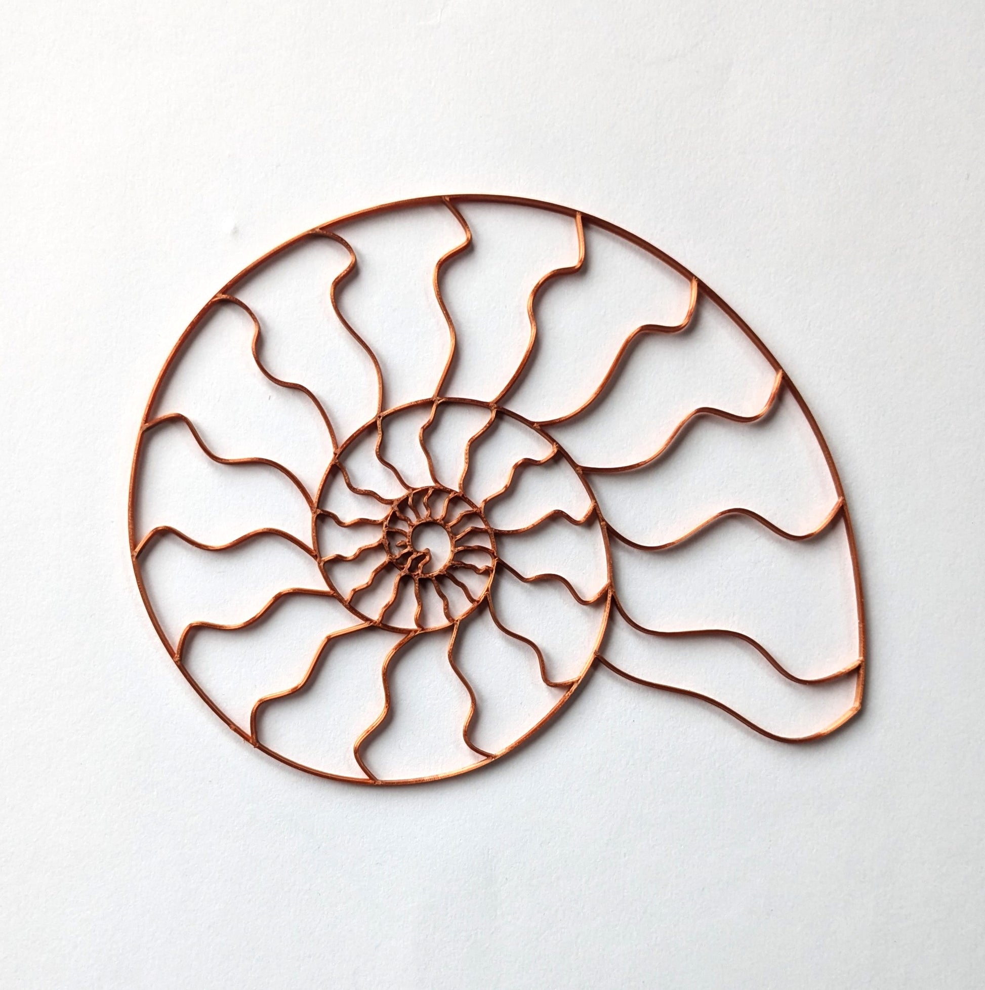 Ammonite Resin Art Template – pourawayfluidarts