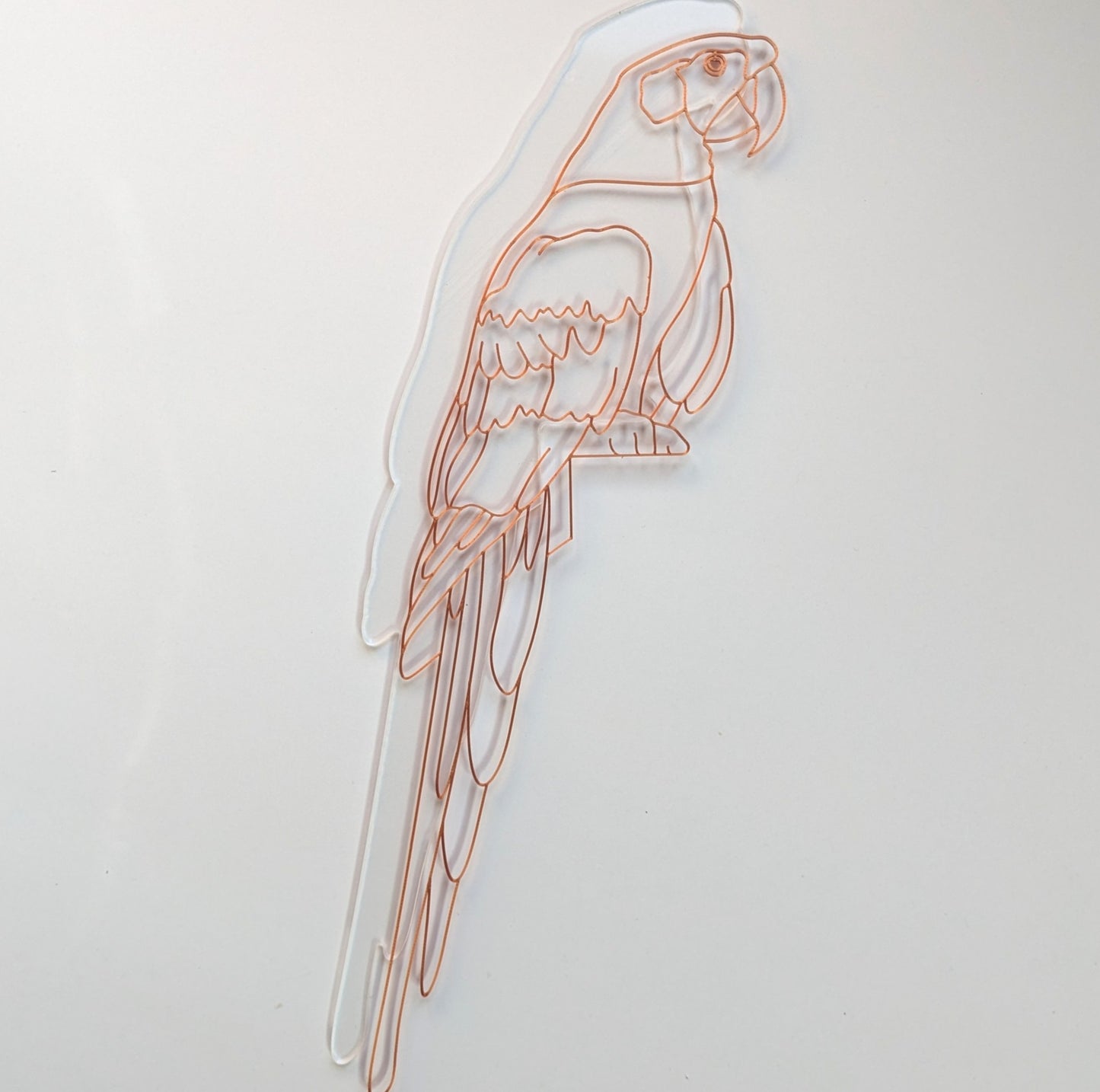 Parrot Resin Art Template