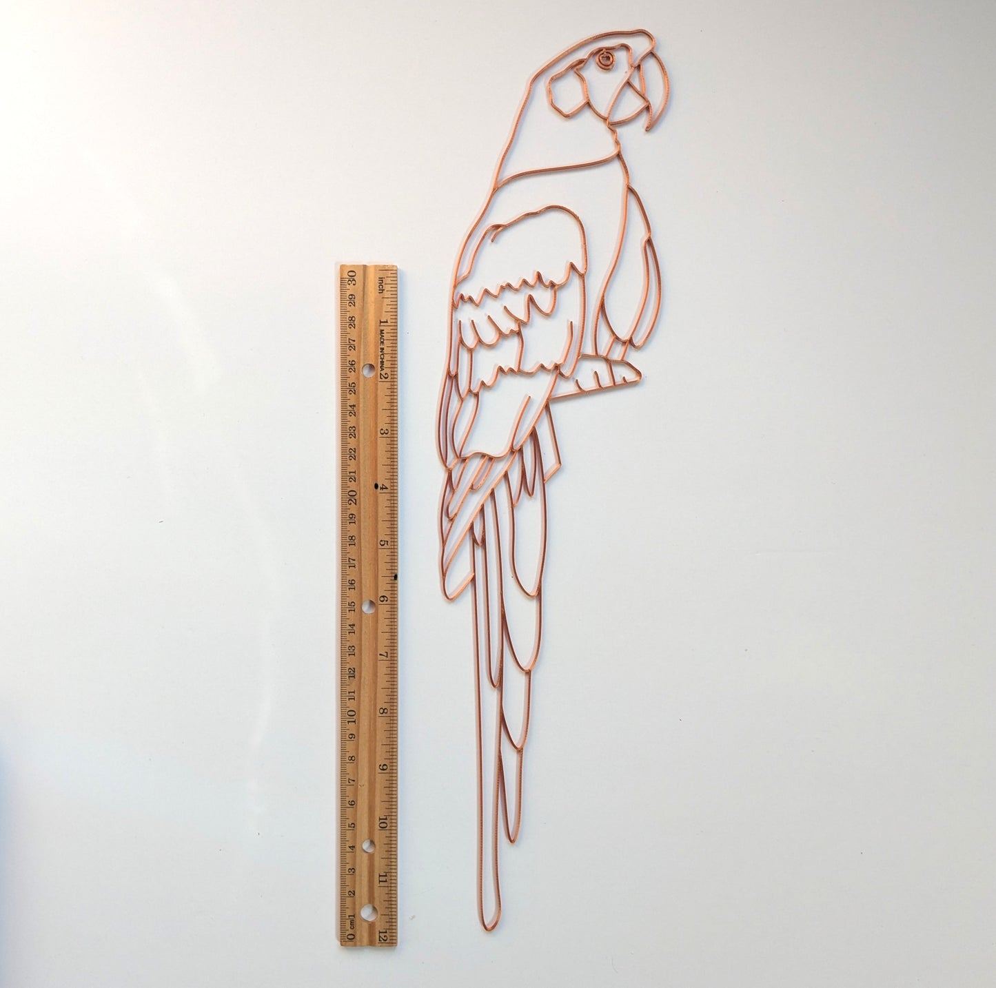 Parrot Resin Art Template