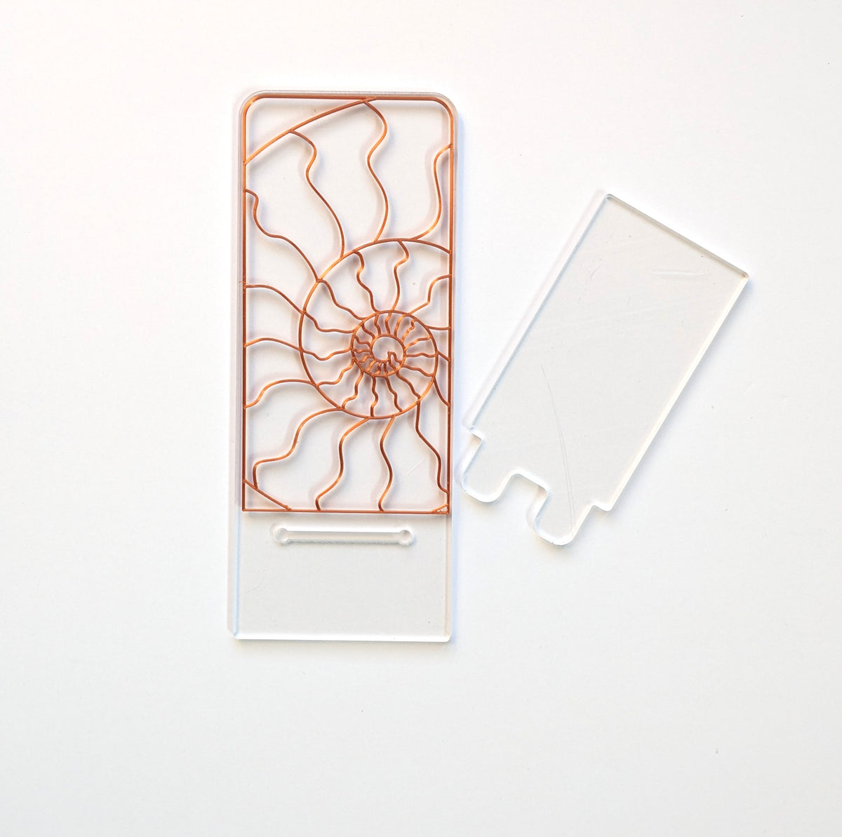 Ammonite phone stand resin art kit.